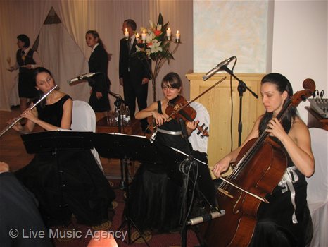 50th Anniversary Dinner | photo: livemusicagency.com