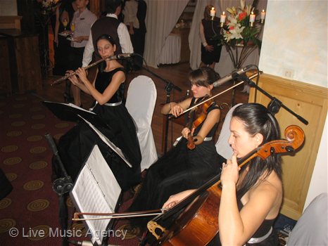 50th Anniversary Dinner | photo: livemusicagency.com