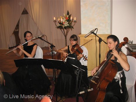 50th Anniversary Dinner | photo: livemusicagency.com