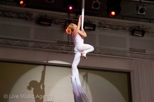 Въздушна акробатика | фото: livemusicagency.com