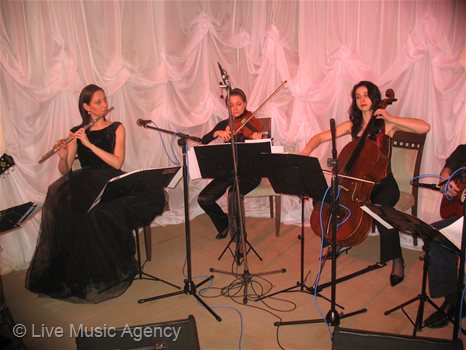 Коледно парти - Fudjitsu Siemens Computers | фото: livemusicagency.com