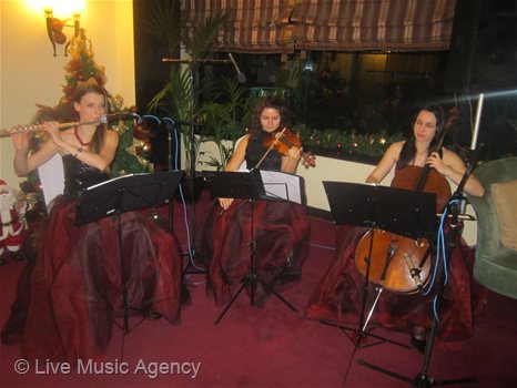 Koледно парти Интерконсулт България | фото: livemusicagency.com