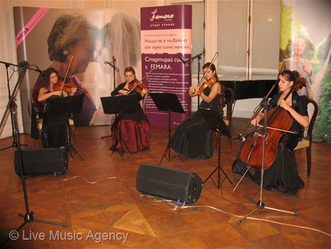 Коледно парти Новартис  | фото: livemusicagency.com