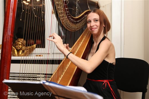Соло арфа Коледно парти Юник Естейтс | фото: livemusicagency.com