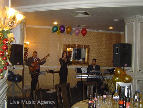 Kоледно парти Woerwag Pharma  | фото: livemusicagency.com