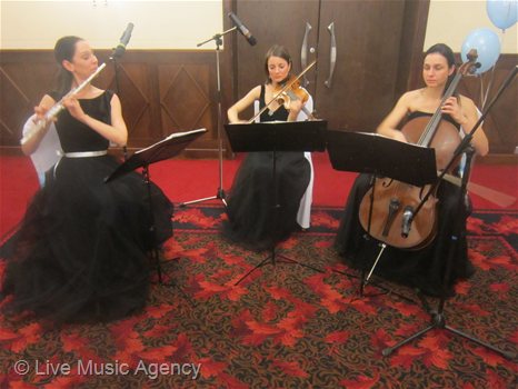 Салонна музика официална вечеря  флейта, цигулка, виолончело | фото: livemusicagency.com