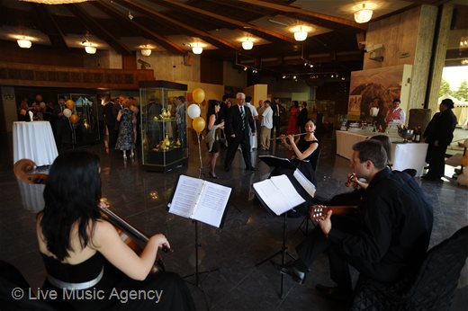 Guitar Ensemble Official cocktail and dinner Company Heli Air | photo: livemusicagency.com