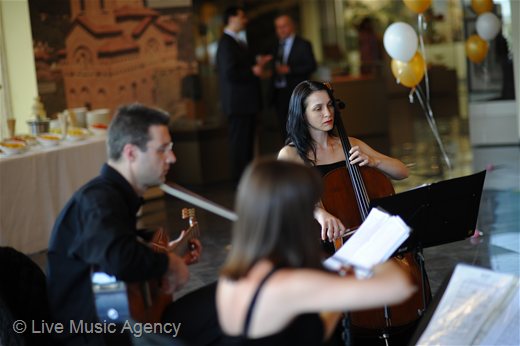 Guitar Ensemble Official cocktail and dinner Company Heli Air | photo: livemusicagency.com