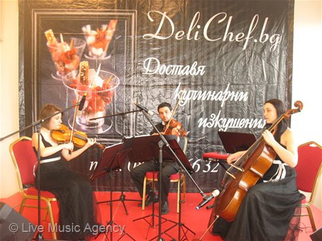 Струнно тио музикална програма  | фото: livemusicagency.com