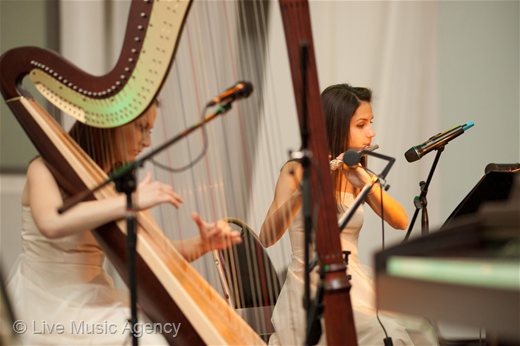 Посрещане на гостите салонно дуо флейта и арфа | фото: livemusicagency.com