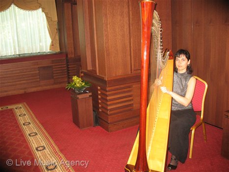 Oфициална вечеря  "Fujitsu Siemens Computers " | фото: livemusicagency.com