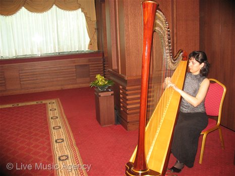 Oфициална вечеря  "Fujitsu Siemens Computers " | фото: livemusicagency.com
