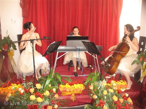 Официално откриване на Книжна борса Искър | фото: livemusicagency.com