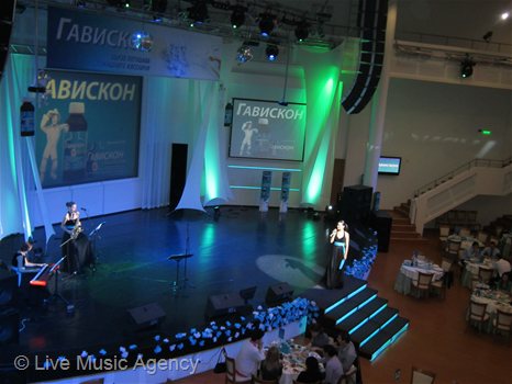 Официална вечеря музикално оформление | фото: livemusicagency.com