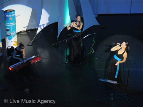 Официална вечеря музикално оформление | фото: livemusicagency.com