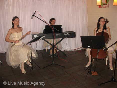 Eдна година CCS | фото: livemusicagency.com