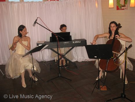 Eдна година CCS | фото: livemusicagency.com