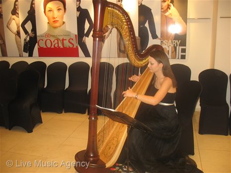 Музикално оформление соло арфа | фото: livemusicagency.com