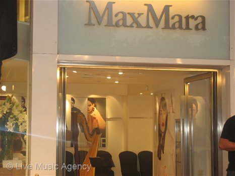 Музикално оформление соло арфа | фото: livemusicagency.com
