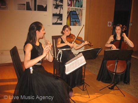 Salon Trio 50th anniversary, private party | photo: livemusicagency.com