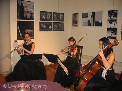Salon Trio 50th anniversary, private party | photo: livemusicagency.com