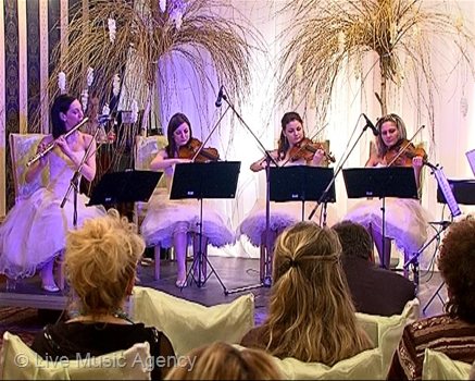 " Пролетен концерт " парти представяне на Агенция LIVE MUSIC  | фото: livemusicagency.com