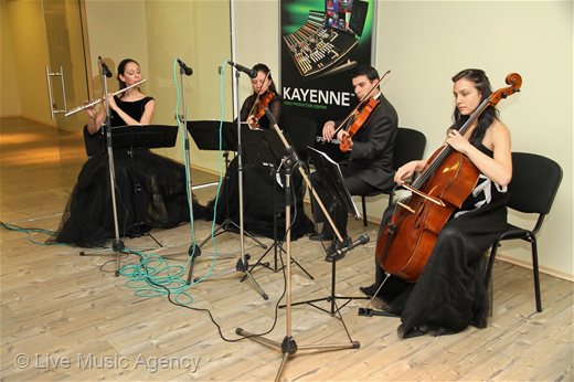 String Quartet Official cocktail TECHNO | photo: livemusicagency.com