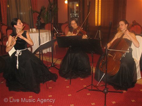 Коледно парти СТРАБАГ БЪЛГАРИЯ Гранд Хотел София, ресторант Shades of Red | фото: livemusicagency.com