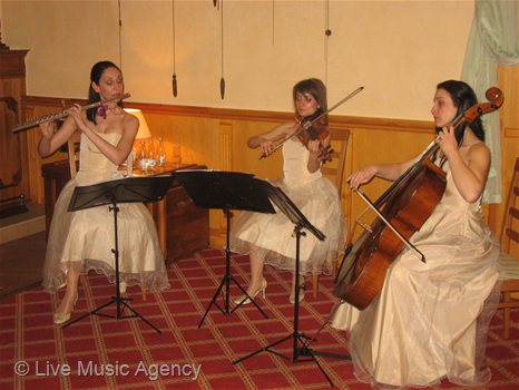 String Trio New Years Eve | photo: livemusicagency.com