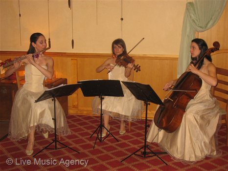 String Trio New Years Eve | photo: livemusicagency.com