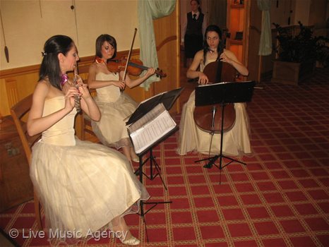 String Trio New Years Eve | photo: livemusicagency.com