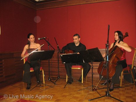 Трио флейта, китара, виолончело Винено изложение | фото: livemusicagency.com