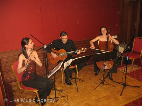 Трио флейта, китара, виолончело Винено изложение | фото: livemusicagency.com