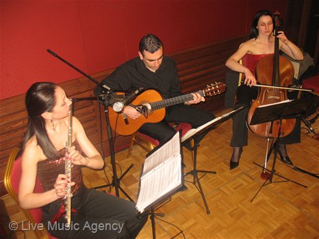 Трио флейта, китара, виолончело Винено изложение | фото: livemusicagency.com